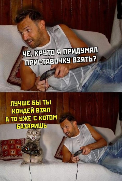 Забавные картинки