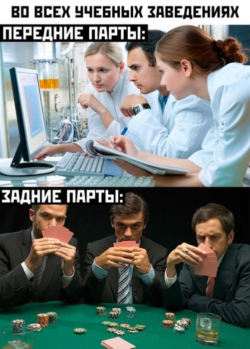 Забавные картинки