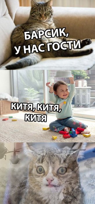 Забавные картинки