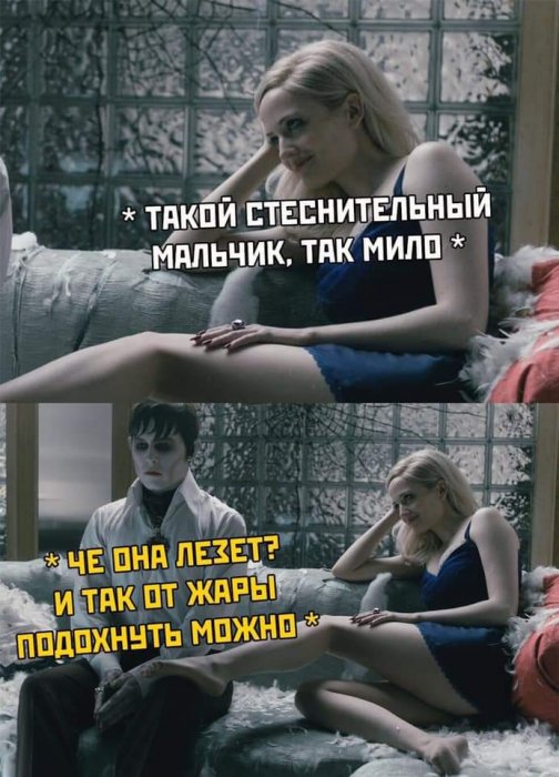 Забавные картинки
