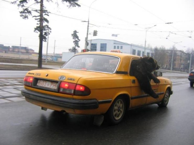 "Теперь я видел все!"