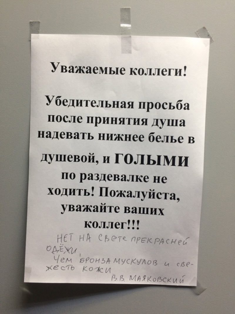 Прикольные картинки