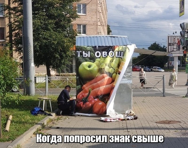 Прикольные картинки