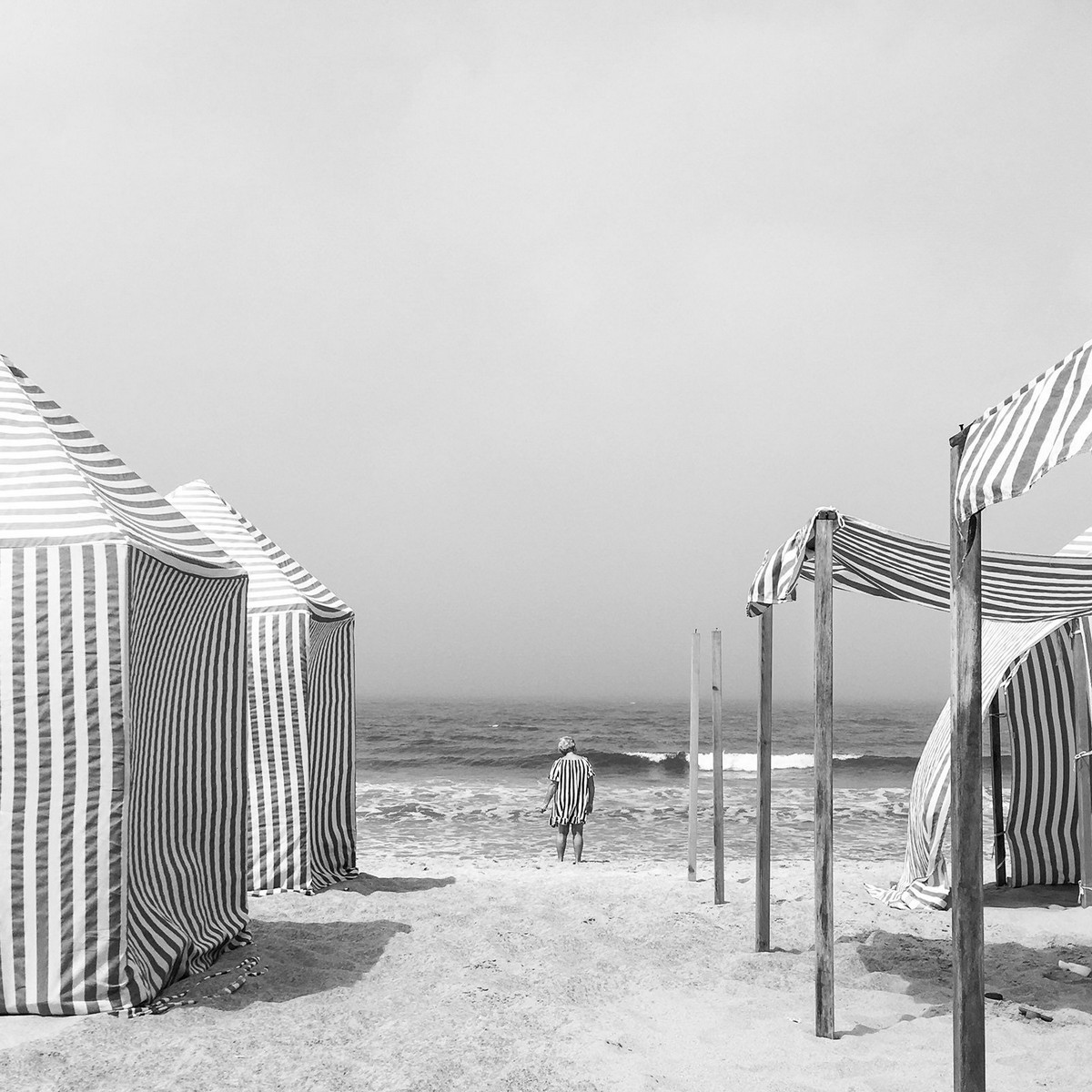 Победители конкурса мобильной фотографии iPhone Photography Awards 2019