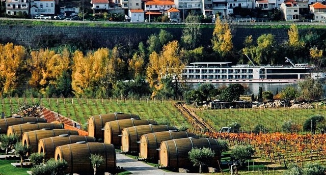 Сказочный отель в Германии, где вместо номеров винные бочки