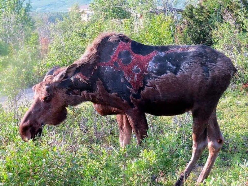 15 удивительных и неочевидных фотофактов, наглядно рассказывающих обо всем на свете