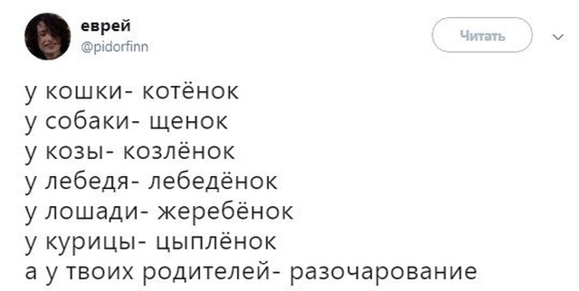 Шутки из Twitter
