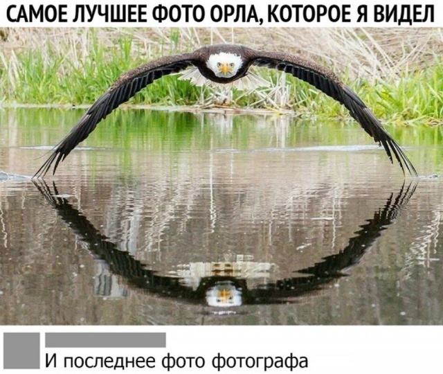 Шутки из социальных сетей