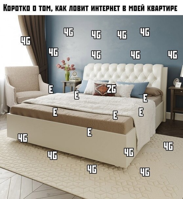 Шутки из социальных сетей