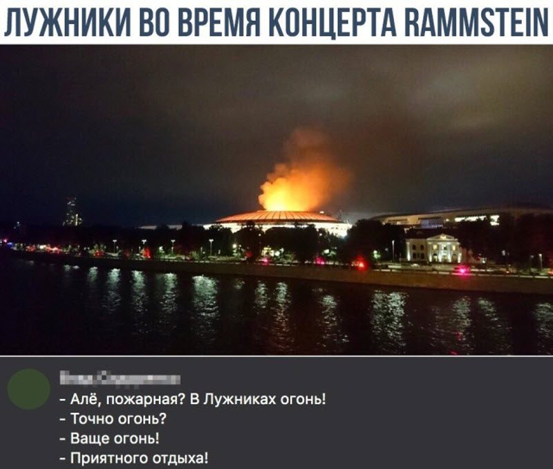 Прикольные картинки