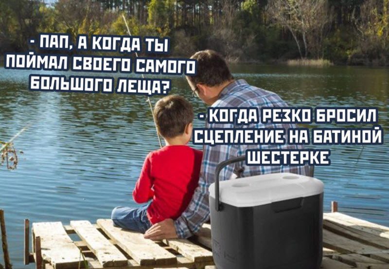 Прикольные картинки