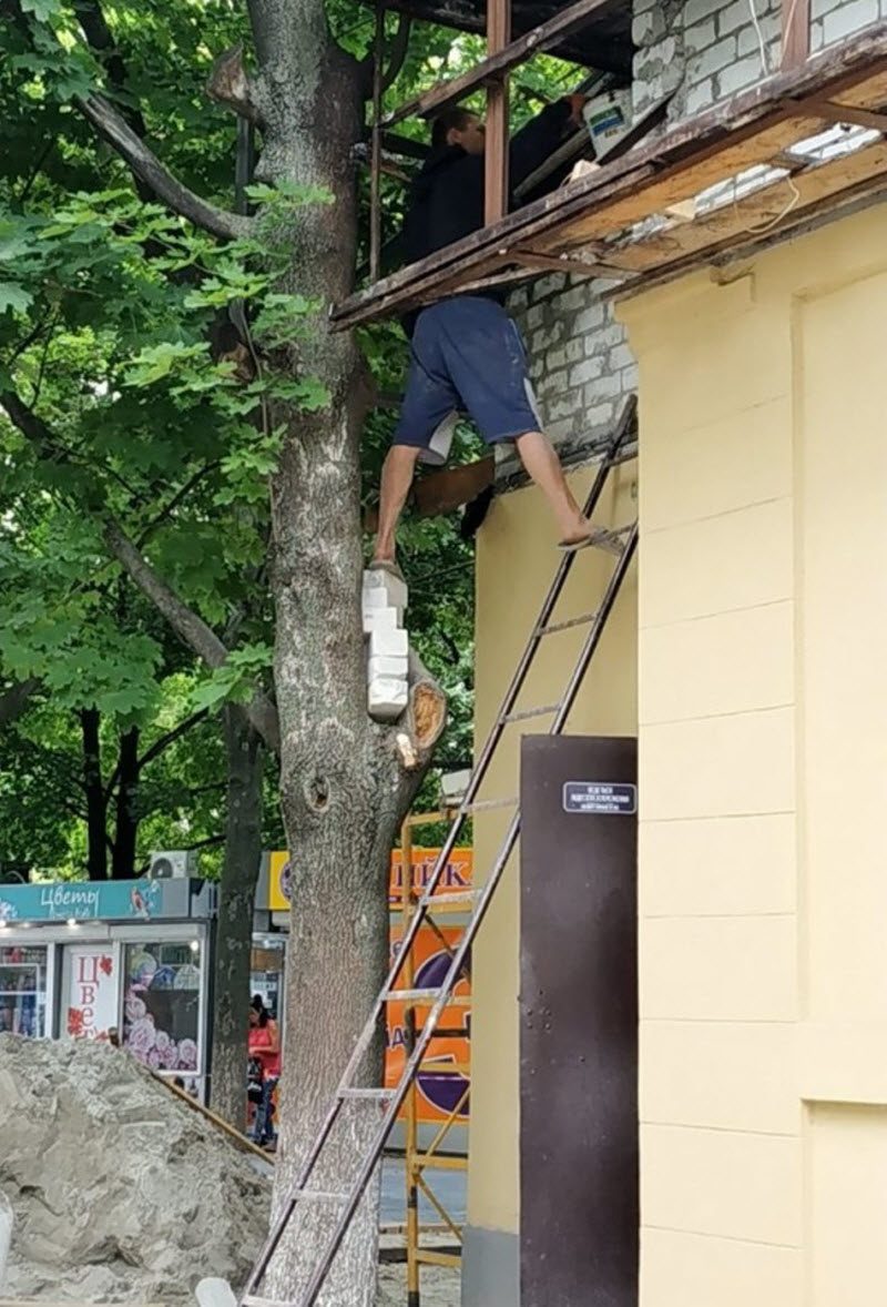 Прикольные картинки
