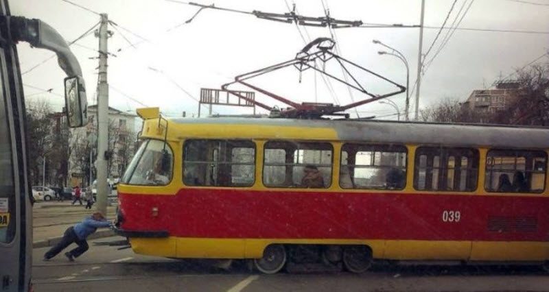 Прикольные картинки