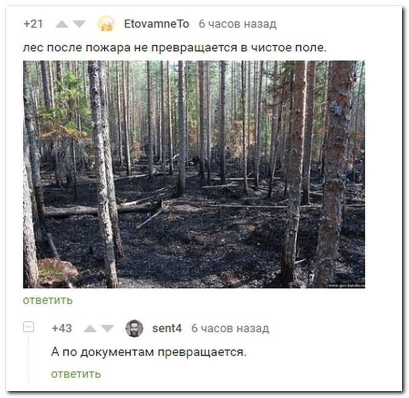 Забавные комментарии из социальных сетей