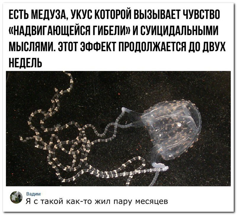 Забавные комментарии из социальных сетей