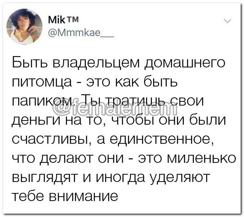 Забавные комментарии из социальных сетей