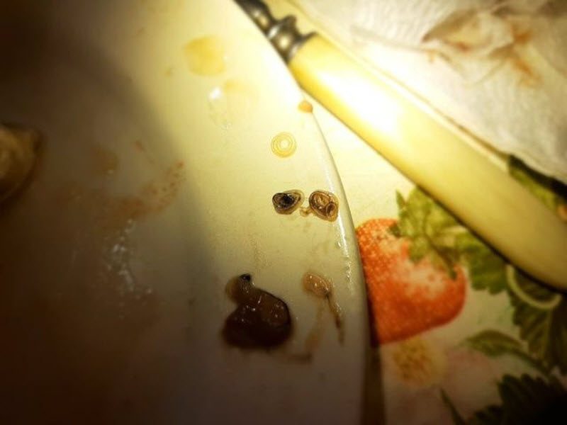 Маринованная селедочка с неаппетитной добавочкой