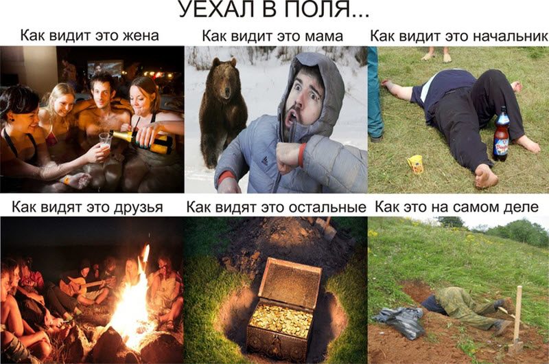 Прикольные картинки
