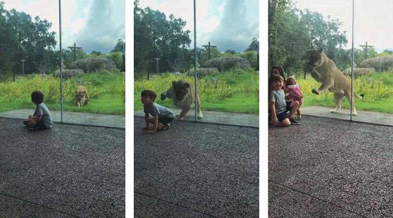 Что-то пошло не так...