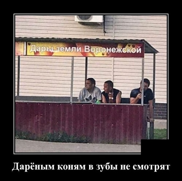 Демотиваторы