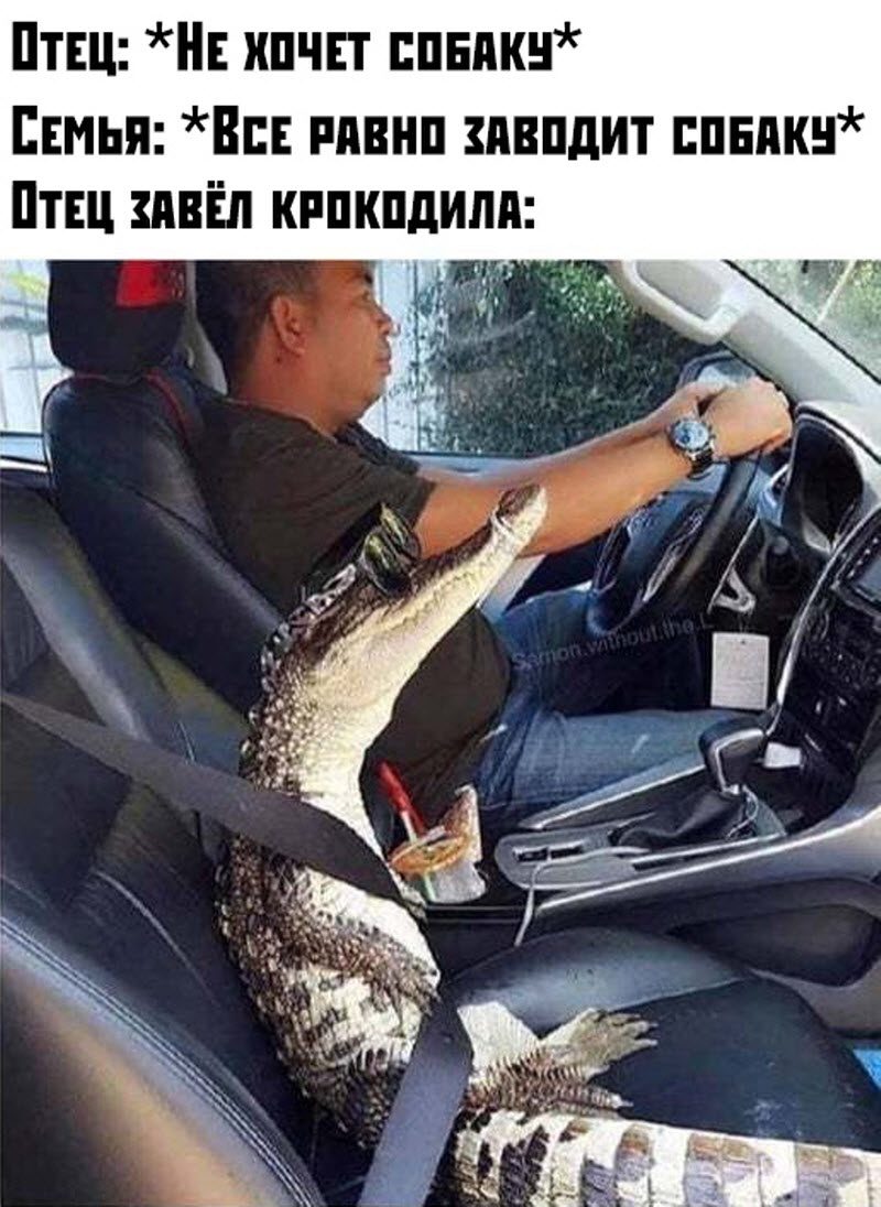 Прикольные картинки