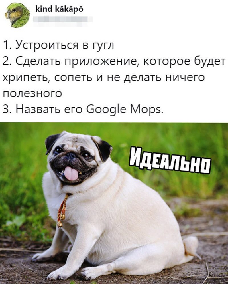 Прикольные картинки