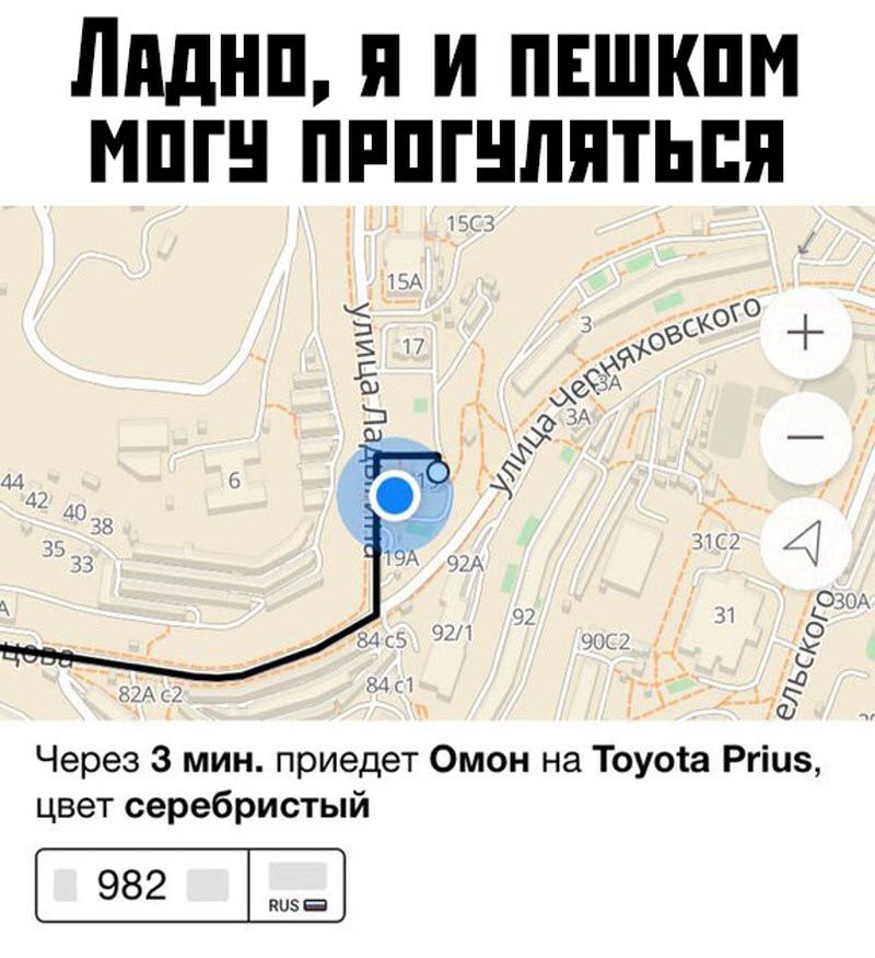 Прикольные картинки