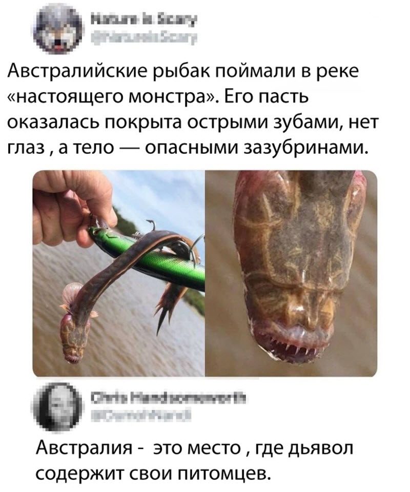 Прикольные картинки