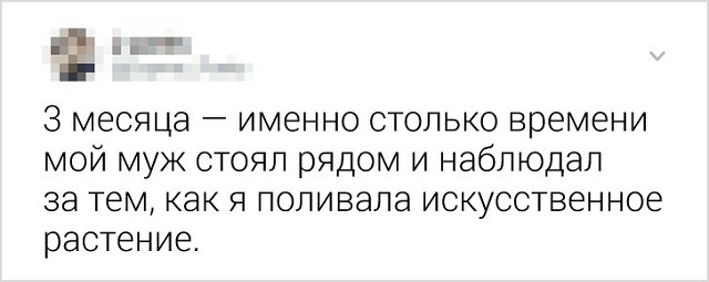 Подборка забавных твитов о семейной жизни