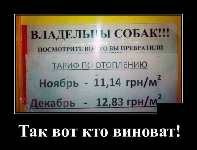 Демотиваторы