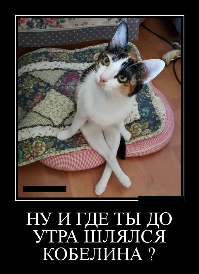 Демотиваторы