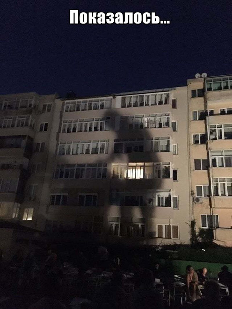 Прикольные картинки