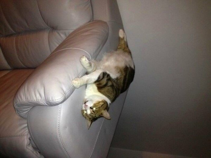 Хитрые фотографии, которые бросают вызов законам физики