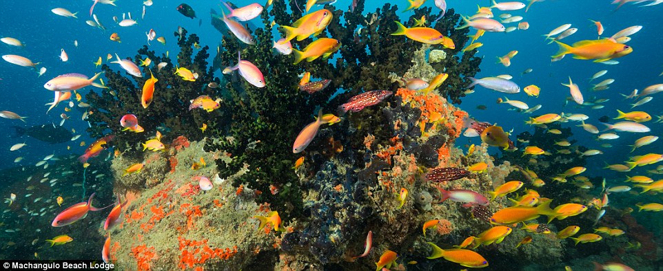 Непопулярные у туристов красивейшие места Земли Непопулярные у туристов красивейшие места Земли