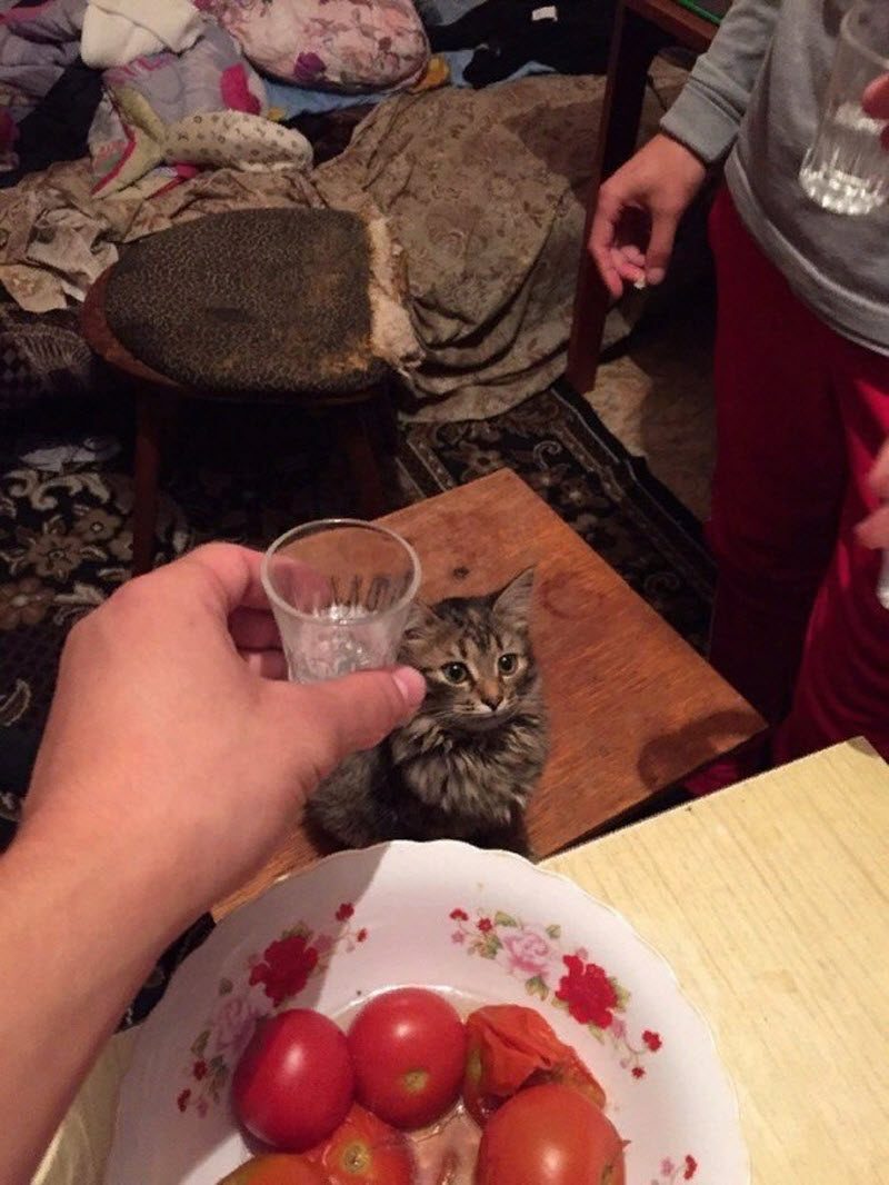 Забавы молодых: пьянки, гулянки, вписки
