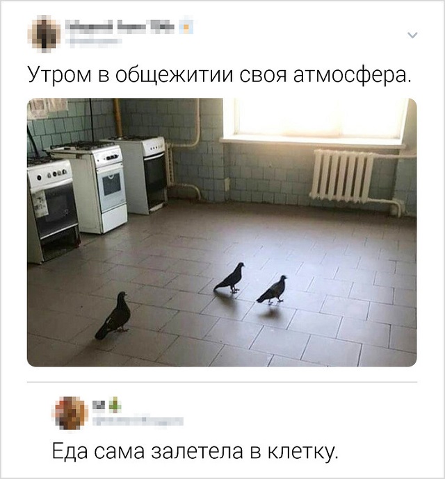 Подборка колких комментариев от пользователей соцсетей
