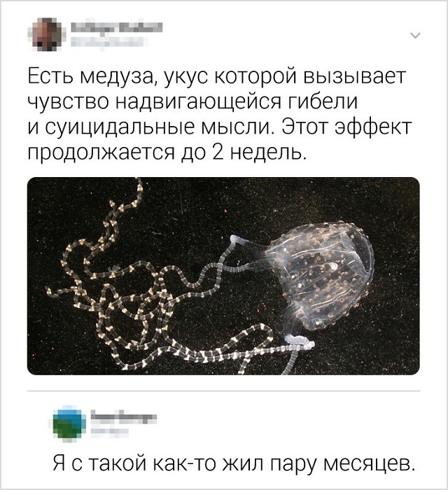 Подборка колких комментариев от пользователей соцсетей