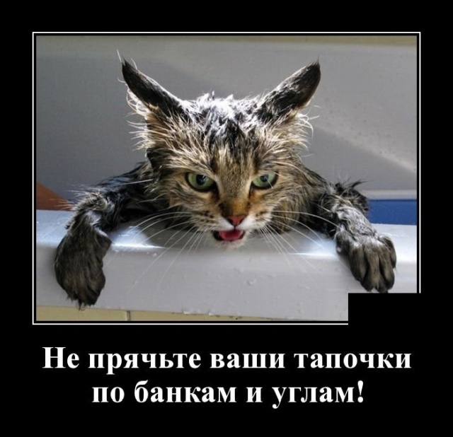 Демотиваторы