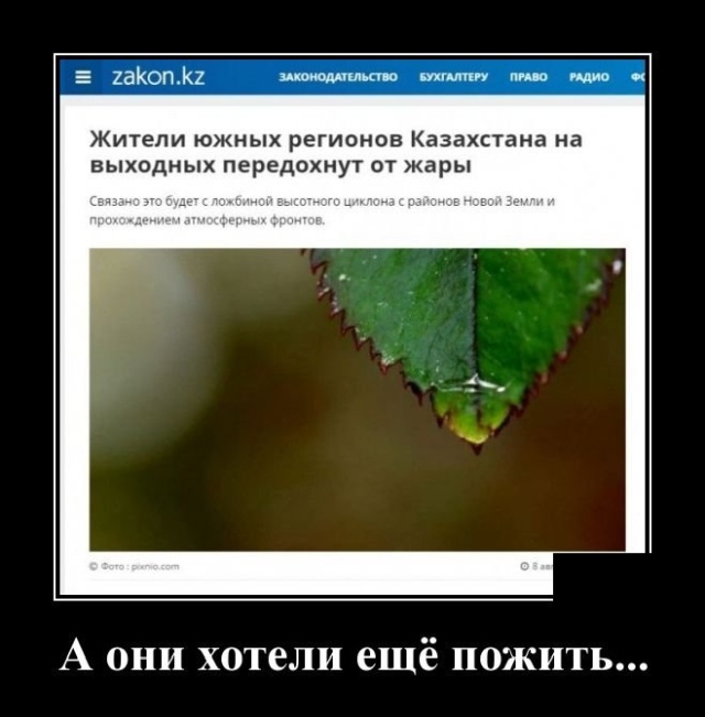 Демотиваторы