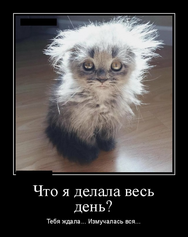 Демотиваторы