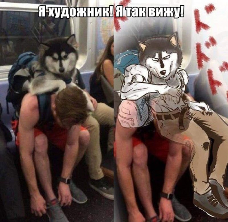 Прикольные картинки