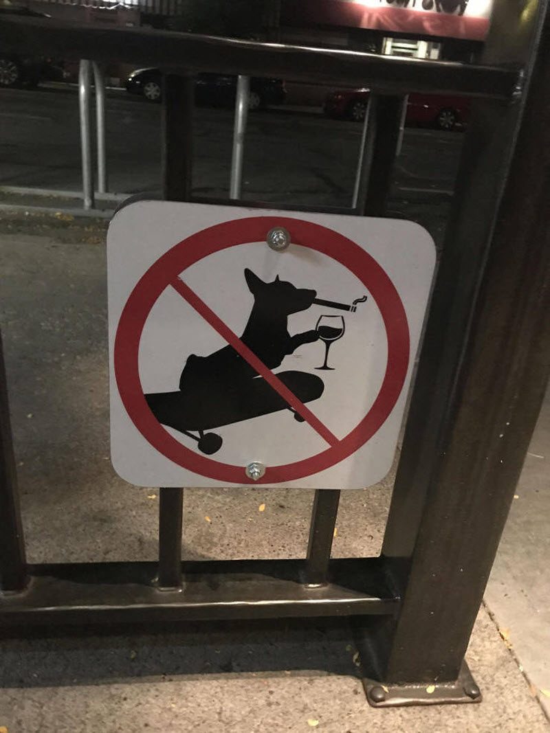 Прикольные картинки