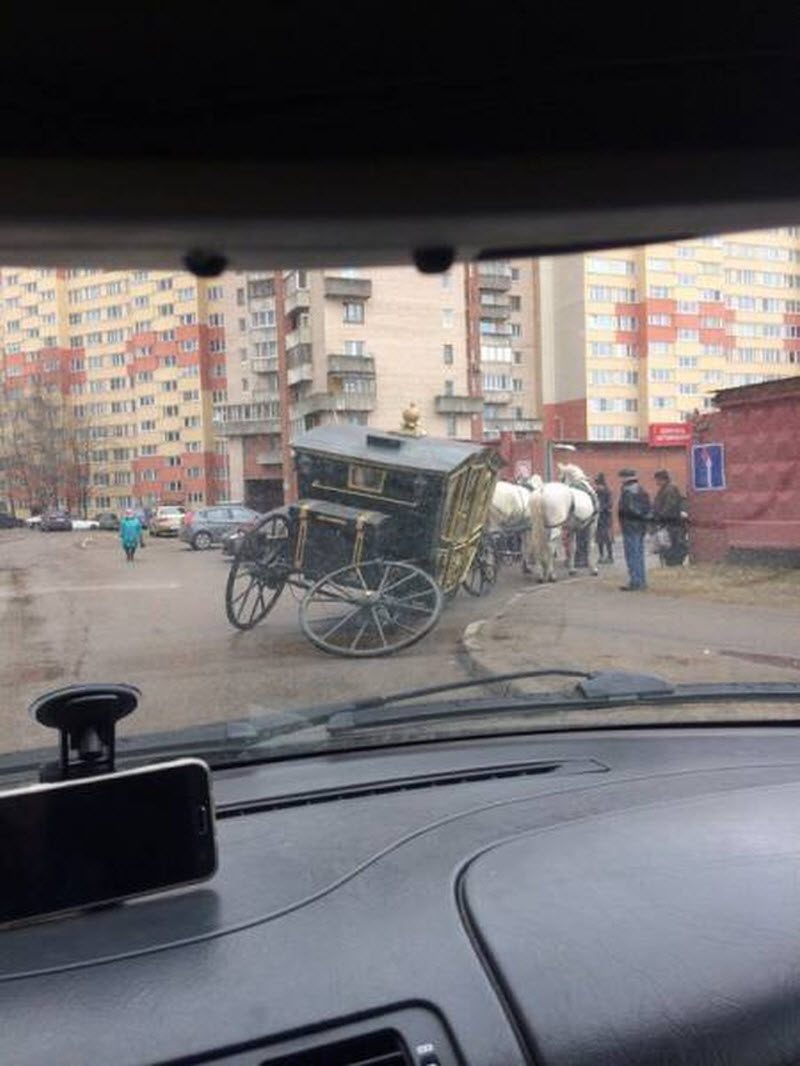 Прикольные картинки