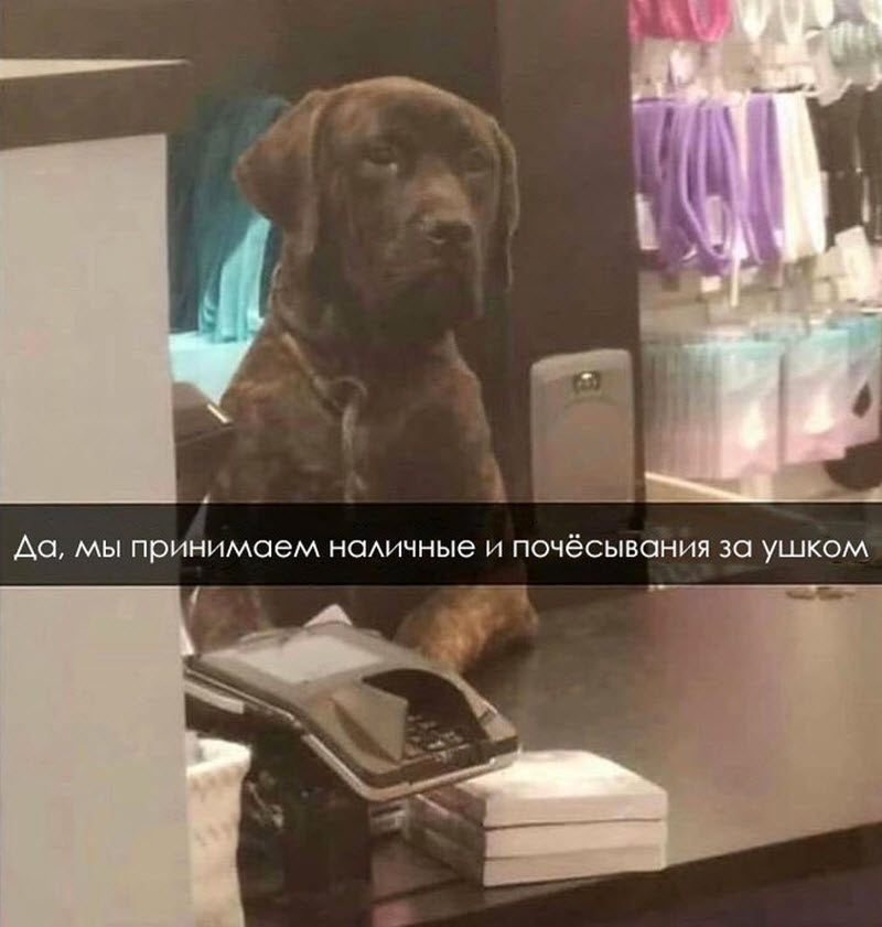 Прикольные картинки