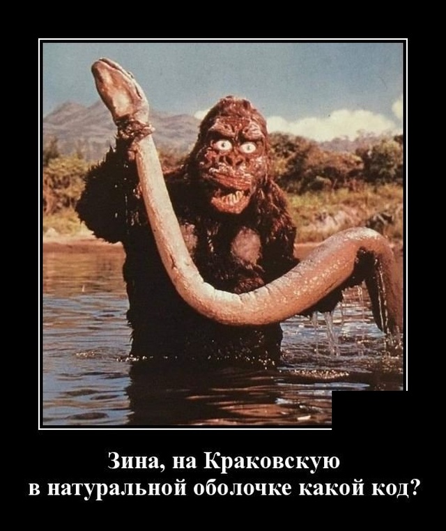 Демотиваторы