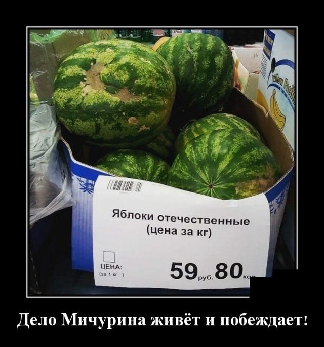Демотиваторы