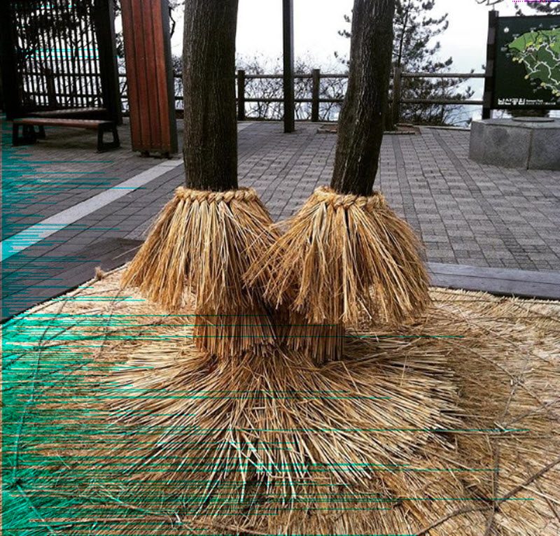 Типичные для Южной Кореи бытовые странности, которые пригодились бы нам