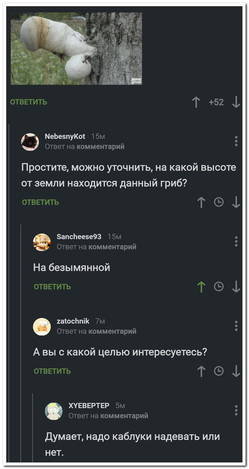 Забавные комментарии из социальных сетей