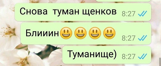 Подборка коварных и смешных автозамен от Т9 в сообщениях