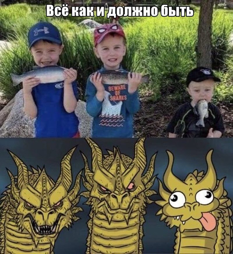 Прикольные картинки